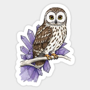 Owl & Amethyst Sticker